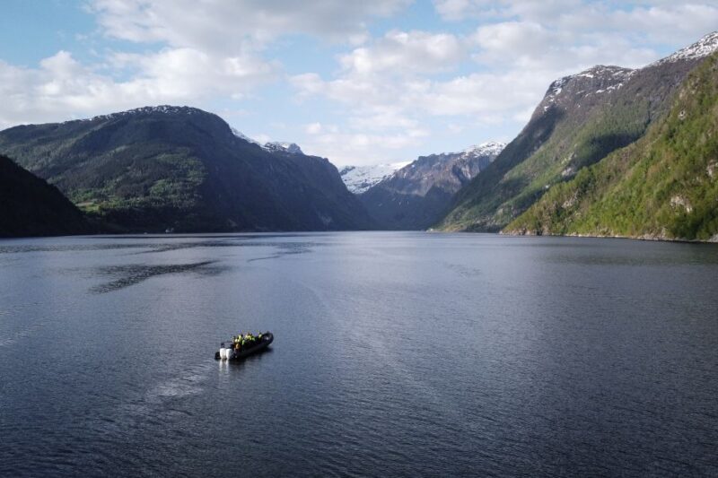 Ulvik: Hardangerfjord Ultimate RIB Tour - Comparing with Similar Fjord Experiences