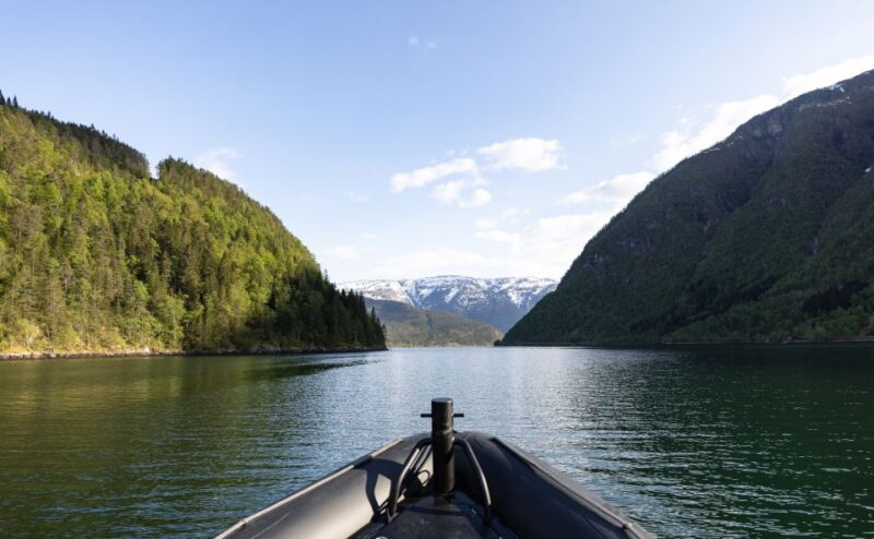 Ulvik: Hardangerfjord Ultimate RIB Tour - Final Thoughts: Who Will Enjoy This Tour?