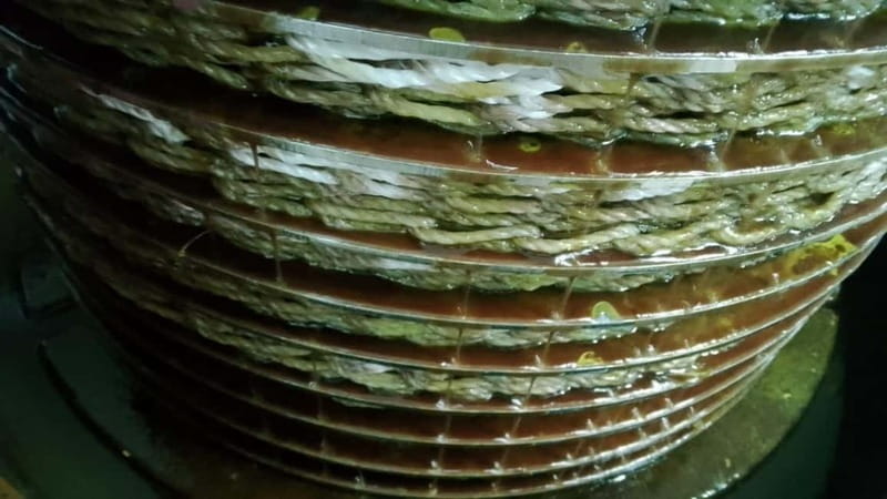 Umbria: guided tour to traditional oil mill + tasting - Scenic Outdoor Tastings in the Olive Grove