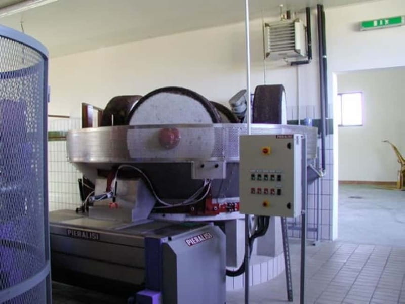 Umbria: guided tour to traditional oil mill + tasting - Why Choose This Olive Oil Tour in Umbria