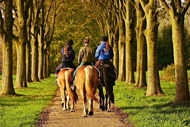 Umbria, Horseback riding in the Umbrian countryside with lunch - Starting Point in Pierantonio, Italy