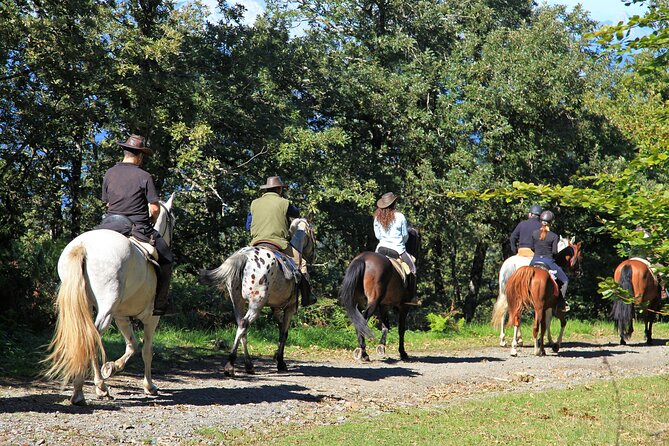 Umbria, Horseback riding in the Umbrian countryside with lunch - Exploring Umbrian Nature and Scenery
