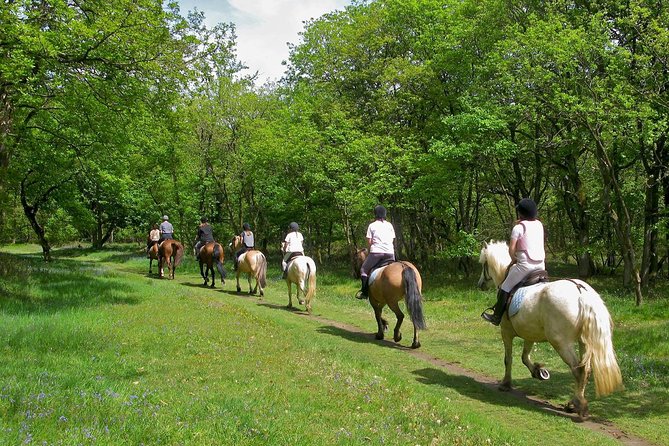Umbria, Horseback riding in the Umbrian countryside with lunch - The Unique Experience of Contact with the Horses