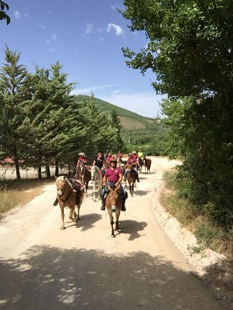 Umbria, Horseback riding in the Umbrian countryside with lunch - What the One Review Praises Most