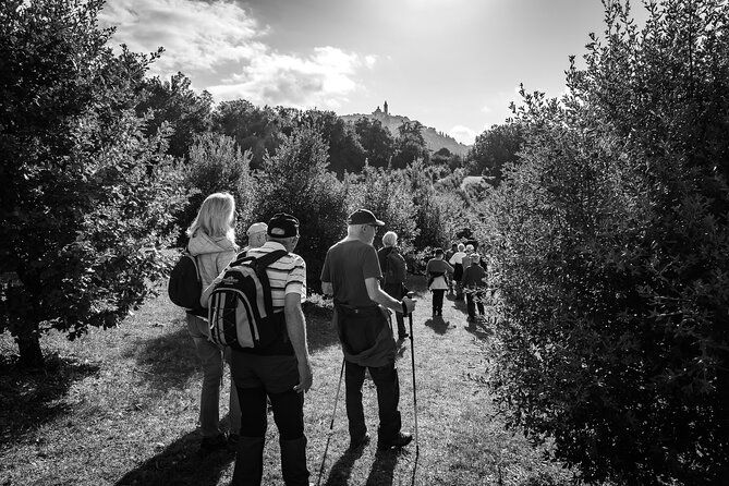 Umbria Truffle Hunting Experience with Brunch - The Authentic Umbrian Experience in a Small Group Setting
