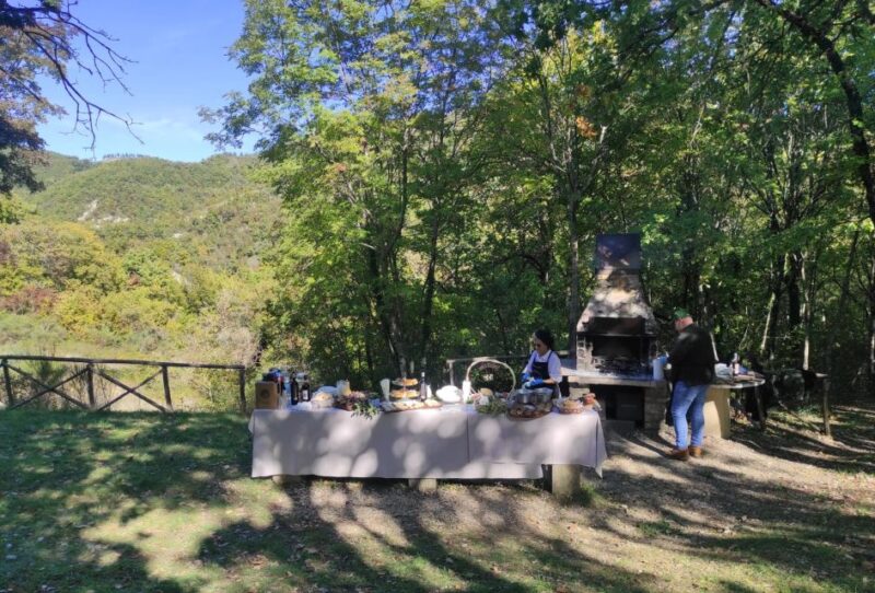 Umbria: Truffle hunting in the woods with lunch - Truffle Hunting in the Green Forests of Umbria