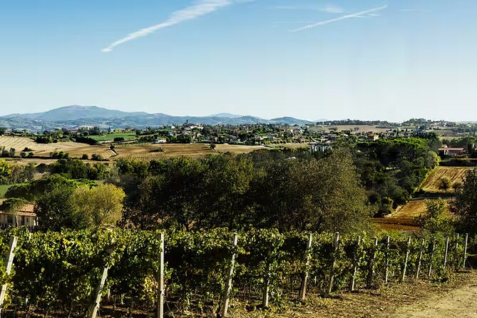 Umbria: Wine Tasting Tour with Regional Pairings near Perugia - Key Points