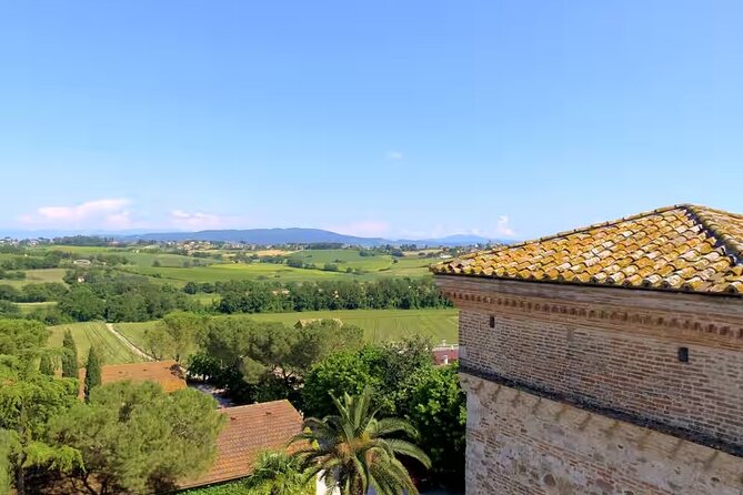 Umbria: Wine Tasting Tour with Regional Pairings near Perugia - Regional Pairings: Enhancing Flavors with Umbrian Delicacies