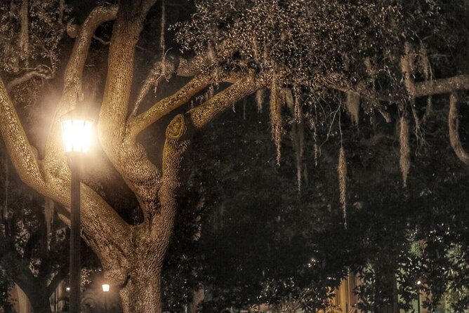 Uncensored Zombie Night-Time Walking Ghost Tour of Savannah (Ages 18+) - Notable Strengths: Engaging Guides and Unique Stories