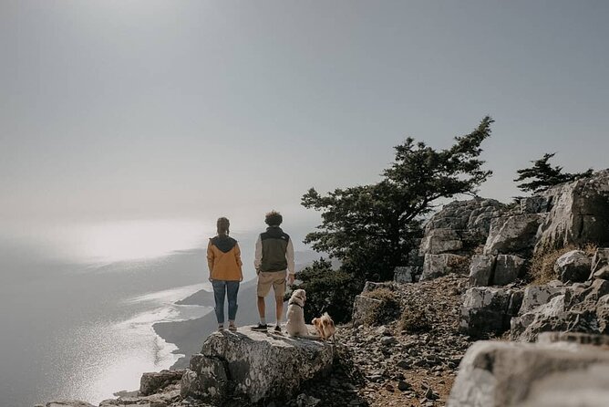 Uncharted East Crete & Local Secrets Private Tour from Elounda - Discovering the Kroustas Forest Historical Landscape Park