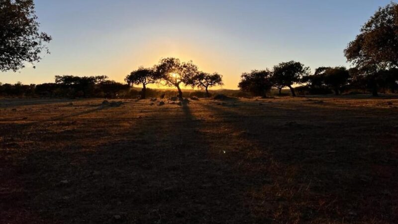 Under the Stars: Night Immersion with Sky Interpretation - Practical Details and Logistics for the Night Experience