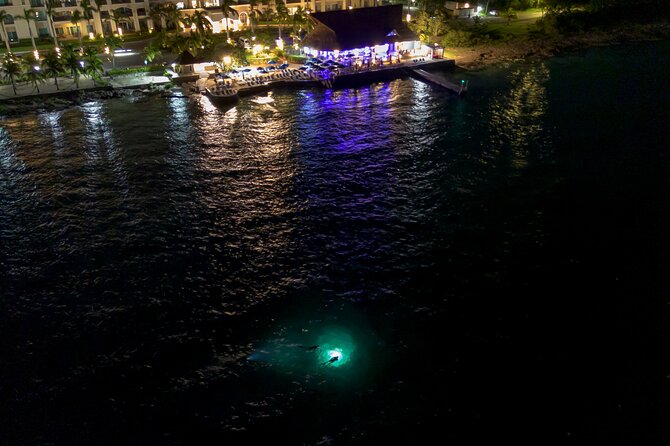 Under the Stars Twilight Snorkel and Seaside Dinner at Money Bar - Explore Cozumel’s Underwater Nightlife with a Twilight Snorkel and Seaside Dinner