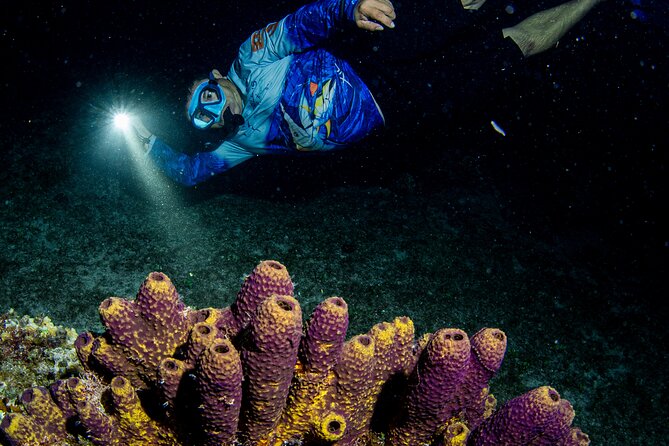 Under the Stars Twilight Snorkel and Seaside Dinner at Money Bar - Seaside Dinner with Local Flavors and Relaxed Atmosphere