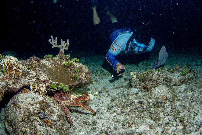 Under the Stars Twilight Snorkel and Seaside Dinner at Money Bar - Group Size and Personalized Attention