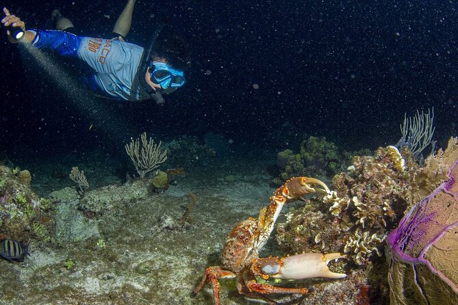 Under the Stars Twilight Snorkel and Seaside Dinner at Money Bar - Logistics and Practical Tips