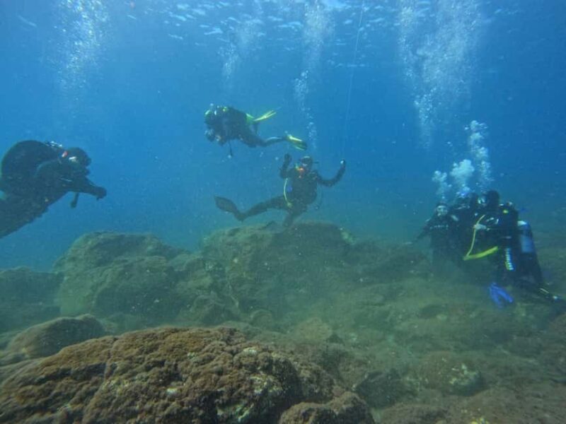 Underwater Archaeological Tour: Acicastello (CT) - Suitability and Considerations for Participants