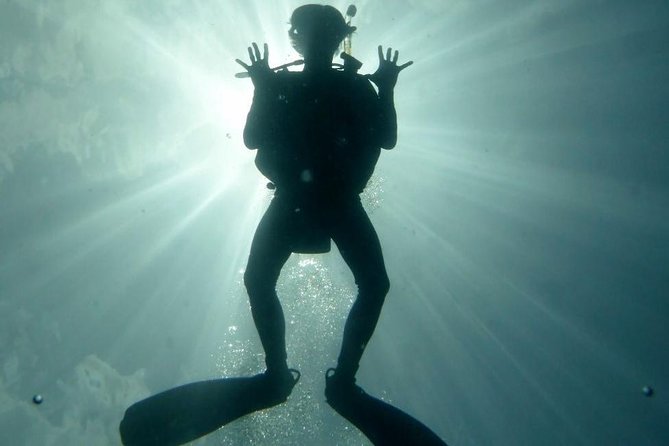 Underwater Scooter Dive (Certified Divers Only) Makena Wailea - The Expertise and Friendly Approach of Guides from NeverDry