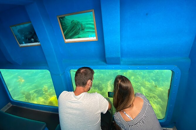 Underwater viewing tours along the coast of Sesimbra - Practical Details: Meeting Point, Group Size, and Whats Included