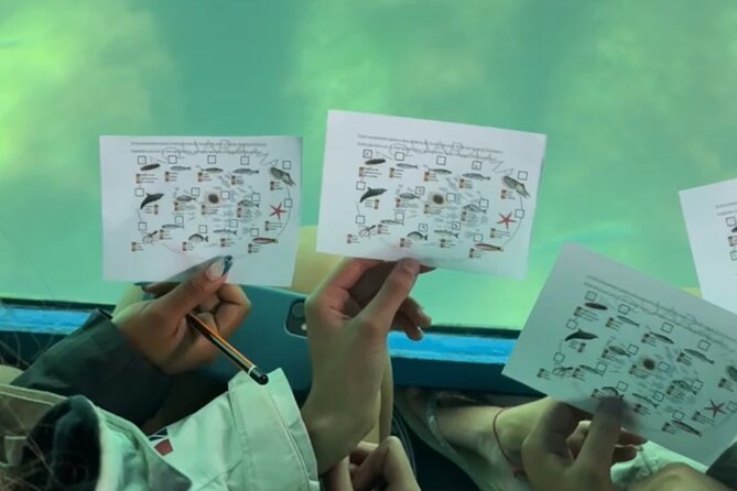 Underwater viewing tours along the coast of Sesimbra - Booking, Cancellation, and Weather Considerations