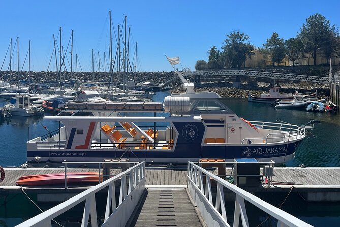 Underwater viewing tours along the coast of Sesimbra - The Experience: Balancing Education and Adventure