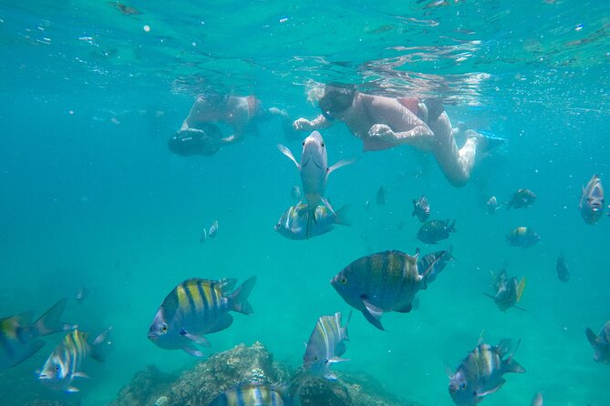 Underwater Wonders Snorkeling Adventure - Explore Cabo’s Iconic Landmarks and Marine Life