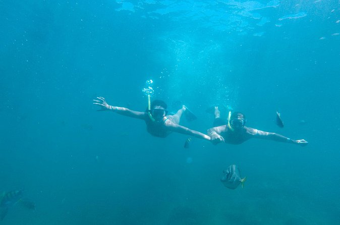 Underwater Wonders Snorkeling Adventure - Practical Details: Meeting Point and Group Size