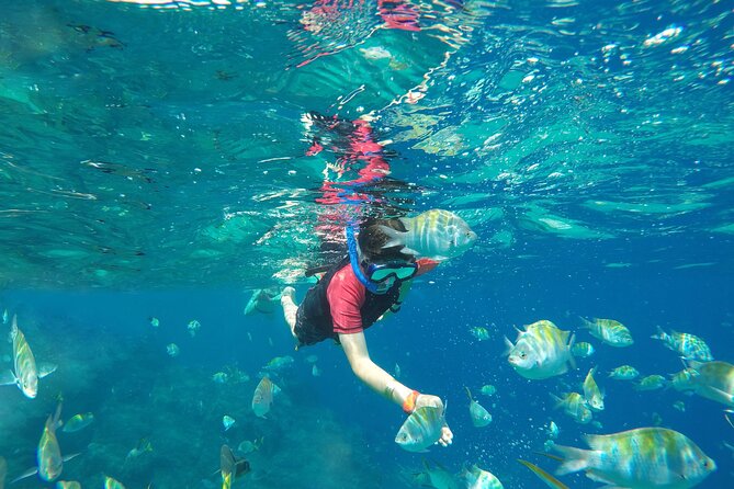 Underwater Wonders Snorkeling Adventure - Additional Considerations: Timing and Booking