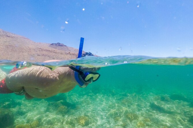Underwater Wonders Snorkeling Adventure - What Sets This Tour Apart from Others in Cabo