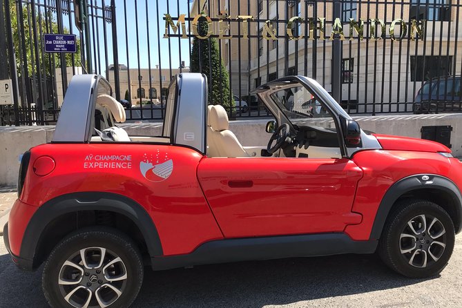 Unesco Champagne Experience from Reims (Private full day tour) - Scenic Passage through Mareuil-sur-Aÿ and the Avenue de Champagne