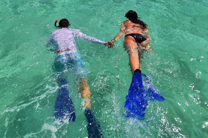 UNESCO World Heritage Site: 1 Day Coronado Island from Loreto Adventure - Wildlife and Marine Life Highlights from Reviews