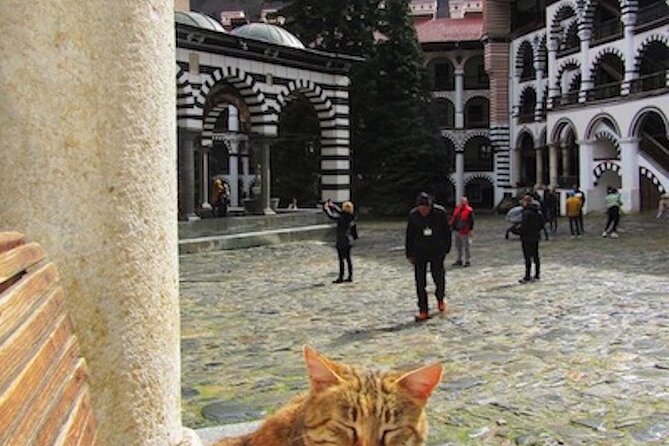 UNESCO World Heritage Site Tour in Bulgaria - The Enchanting Rila National Park