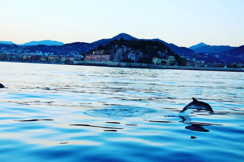 unforgettable boat excursion - Key Points