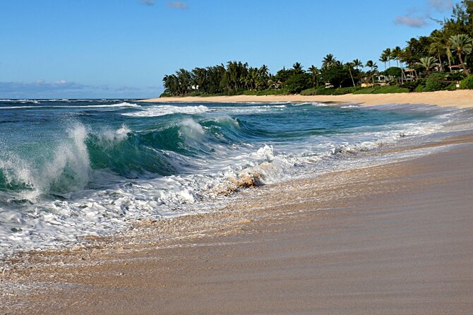 Unforgettable Day on Oahu | Small Group Circle Island Tour - The End of the Day: Relaxed Return to Waikiki