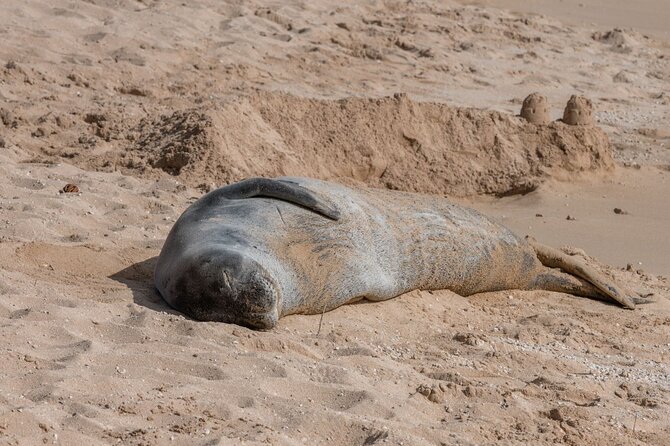 Unforgettable Day on Oahu | Small Group Circle Island Tour - Why This Tour Stands Out