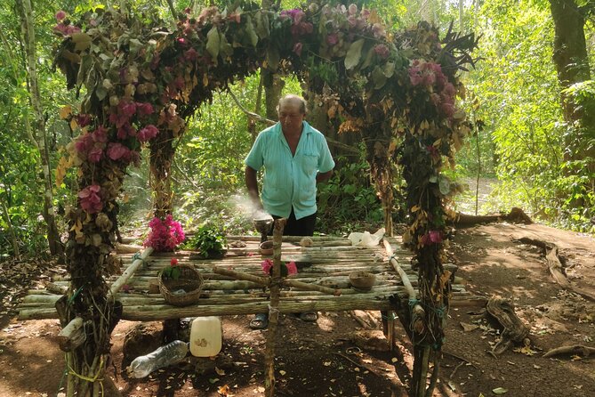Unforgettable Journey: Coba, Monkey Reserve, and Mayan Cenote - Encountering Monkeys in Punta Laguna Monkey Reserve