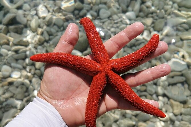 Unforgettable kayaking adventure in Pula! - Key Points