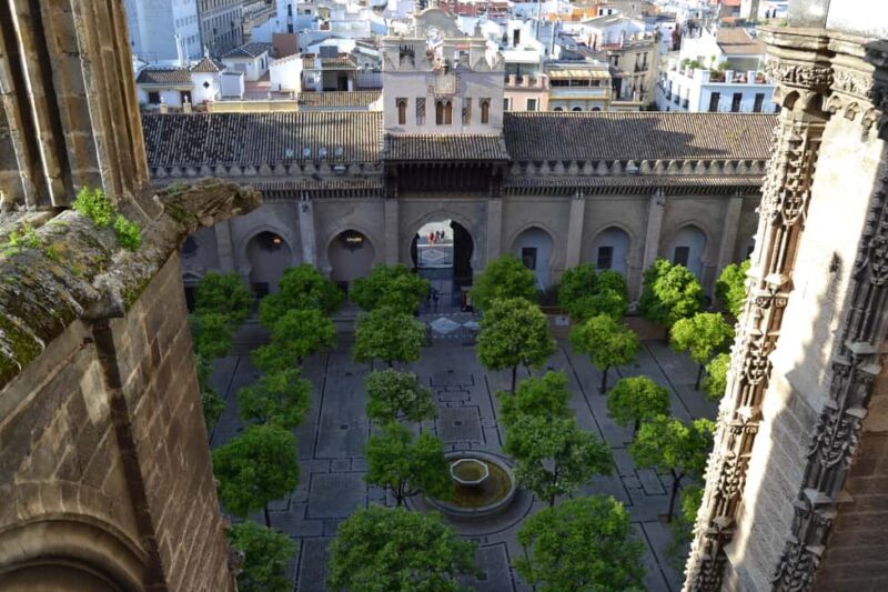 Unforgettable Seville: Tour of Seville and the Jewish Quarter + Flamenco Show - The Alcázar, Patio de Banderas, and Panoramic Views
