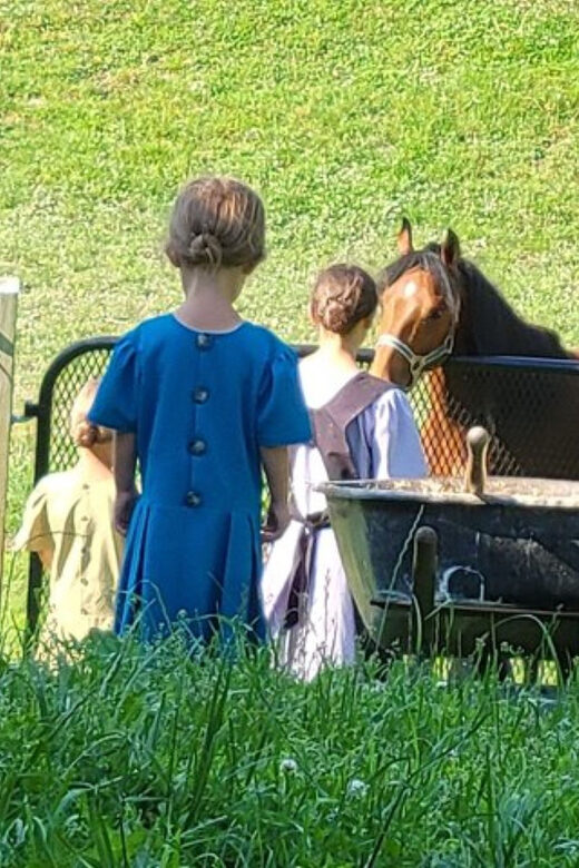 Unique Amish Immersion Experience - Discover the Unique Amish Immersion Experience in Pennsylvania