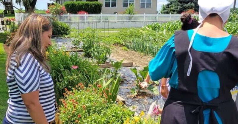 Unique Amish Immersion Experience - Key Points