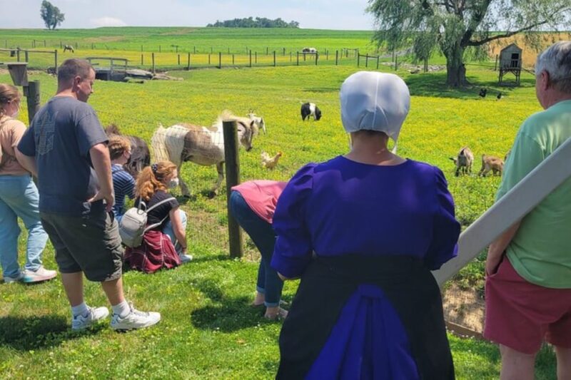 Unique Amish Immersion Experience - Interacting with Amish Families and Learning Their Ways