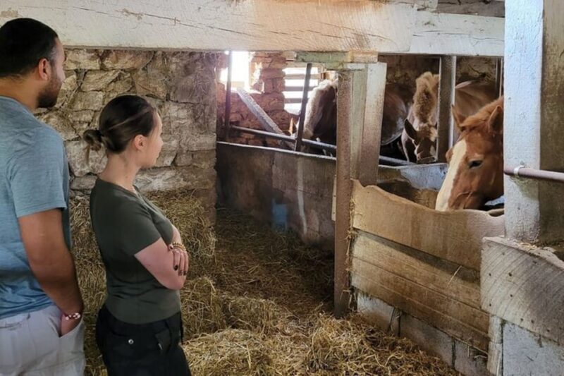 Unique Amish Immersion Experience - Exploring Lancaster’s Amish Countryside