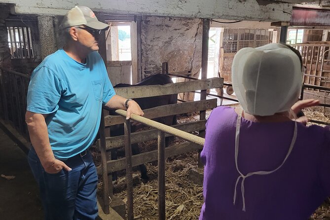 Unique Amish Immersion in Lancaster - Exploring Lancaster’s Amish Country: A Personal and Authentic Experience