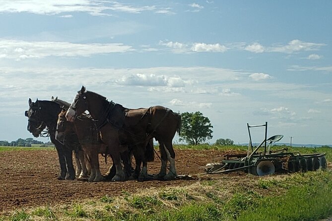 Unique Amish Immersion in Lancaster - Comfortable, Scenic Transportation and Accessibility
