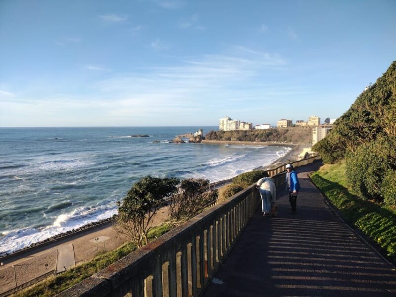 Unique Basque Nature - Guided tour by car - Explore the Stunning Basque Nature in Just 3 Hours