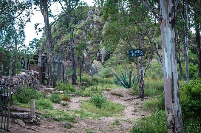 Unique cablecar experience, pulque tasting &unbeatable views - Frequently Asked Questions