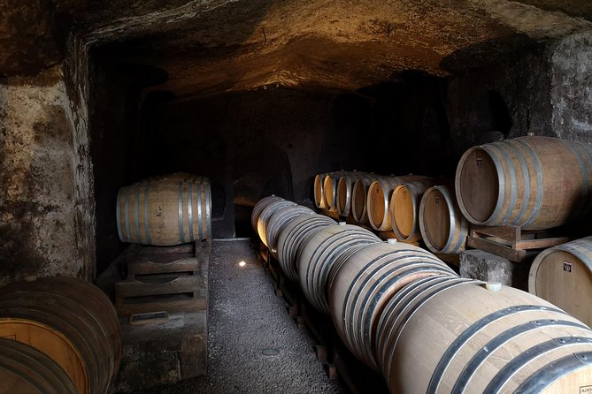 Unique EnoBike experience with tasting in 2 excellent wineries - An engaging wine and scenery adventure in Orvieto with e-bikes and tastings