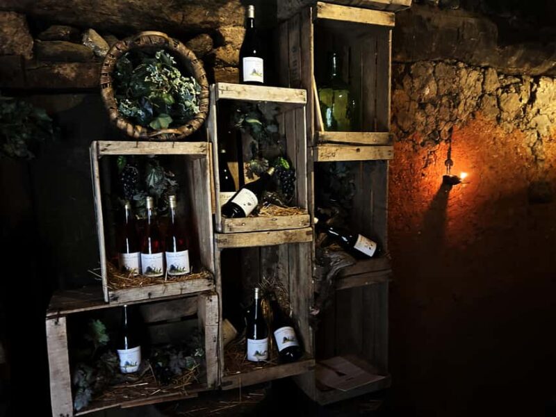Unique experience in XVI winery with tasting near Salamanca - Explore a Medieval Village and Uncover a Hidden Winery Near Salamanca