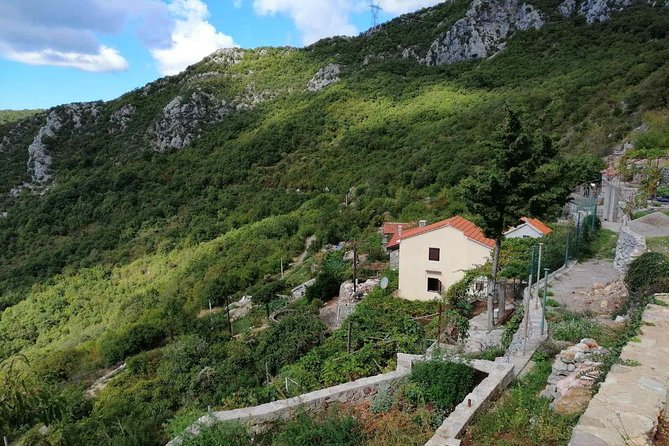 Unique gastro experience with locals in high hills above Budva! - Key Points