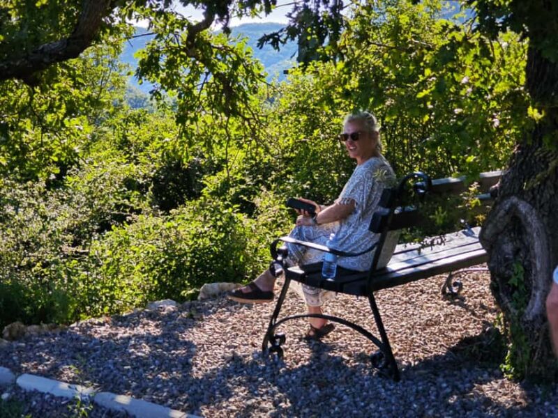 Unique gastro experience with locals in hills above Budva! - Tasting Homegrown Wine and Loza in a Family Home