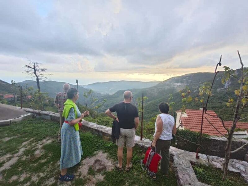 Unique gastro experience with locals in hills above Budva! - What Sets This Tour Apart from Similar Experiences